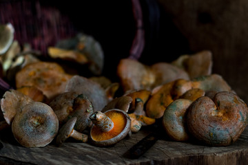 Mushuroom basket on wood 