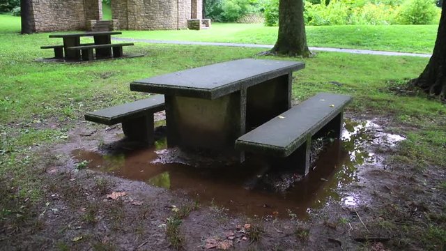 A bench at a local park