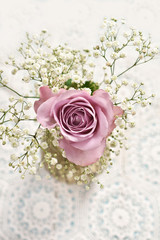Naklejka premium beautiful lavender color rose with gypsophilla -top view