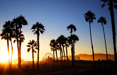 Obraz premium Beautiful sunset through the palm trees. Santa Monica beach, California, USA