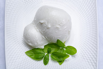 Fresh soft Italian white cheese mozzarella buffalo, original from Campania, Paestrum and Foggia regions, South Italy