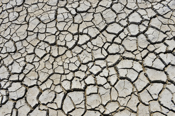 The parched soil