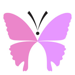 Colored abstract beautiful butterfly icon