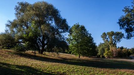 Fototapeta premium Summer view of South Park in city of Sofia, Bulgaria
