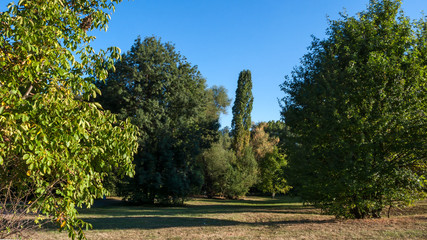 Summer view of South Park in city of Sofia, Bulgaria