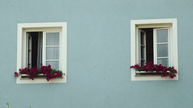 Static shot of light blue painted house with 2 open windows with purple flowers. Filmed in Hausgartenweg, Germany.