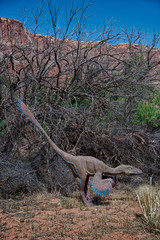 Velociraptor