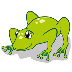 Illustration of a frog. Ideal for educational and cultural materials