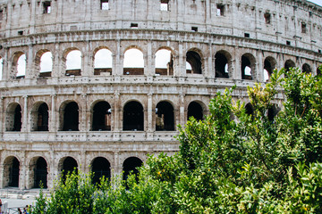 Obraz premium Colosseum Rome Italy 
