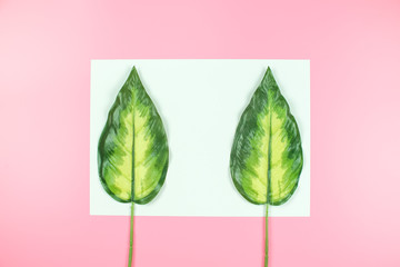 green leaves on pink background