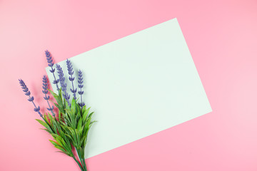 blank card with flowers and text space on Pink background vintage style