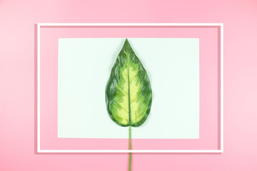 blank card with green leaves on pink background