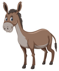 Fototapeta premium A donkey on white background