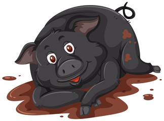A black pig playing mud