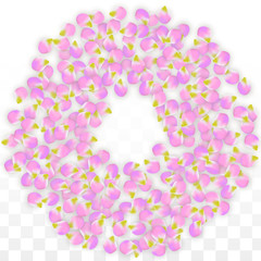 Vector Realistic Pink Petals Falling on Transparent Background.  Spring Romantic Flowers Illustration. Flying Petals. Sakura Spa Design. Blossom Confetti.
