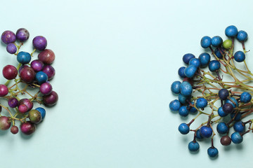 colorful beads ampelopsis glandulosa on blue background