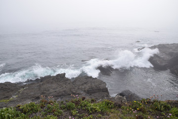 Waves crashing in high surf on the N. California coast