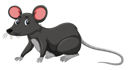 A black rat on white background