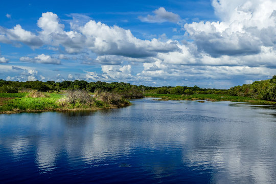 Myakka River State Park, Florida