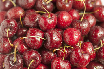 Grupo de Cereza 