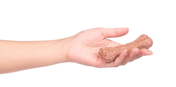 Hand Holding Dog Bone Isolated On White Background