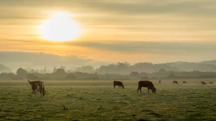 Amanecer camino a Puerto Domínguez, sur de Chile