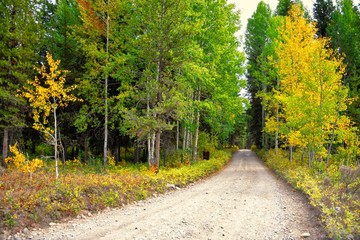 Naklejka premium Road in Glacier National Park