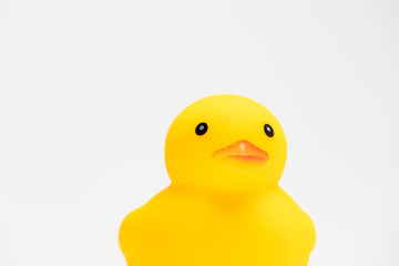 アヒルのおもちゃ