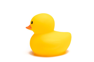 アヒルのおもちゃ