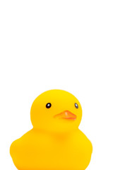 アヒルのおもちゃ