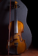 Fototapeta premium Violín