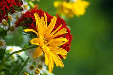 a bouquet of bright spring flowers of various types