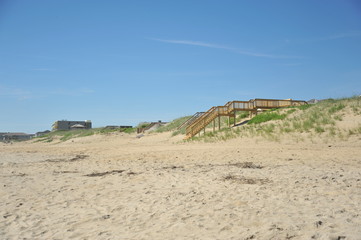 Wooden stair walkway leading to the beach