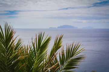 Incredible view of the sea coast. Madeira. Portugal