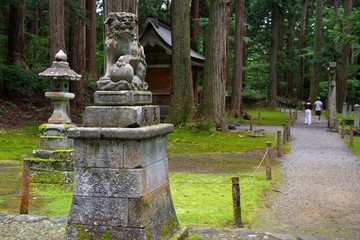 苔が美しい福井県勝山市の平泉寺