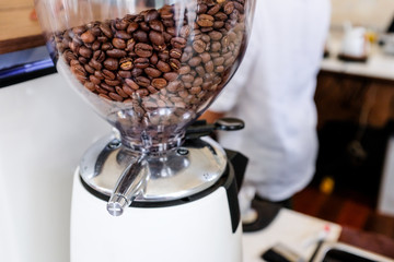 Roasted coffee bean in a white electric coffee grinder in a cafe with barista in background
