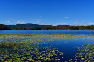 glassy blue lake on cloudless day