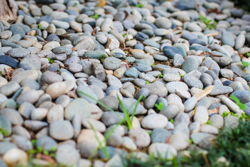 Close up of gray and dark blue smooth river rock. Selective focus