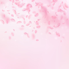 Sakura petals falling down. Romantic pink flowers gradient. Flying petals on pink square background.