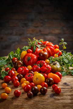 Healthy colorful tomatoes