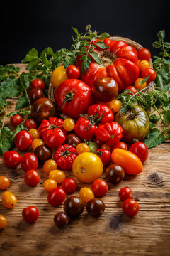 Various organic tomatoes