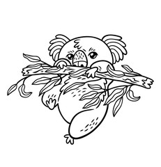 Obraz premium Rysunek ręka wektor koala w stylu cartoon. Szkic konturów zwierząt