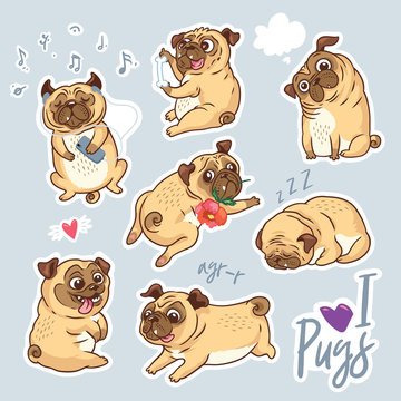 Vector set of cute pug pupies for stickers, pins and patches