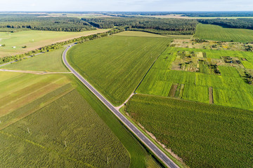 Green agricultural and wheat field. The fields are separated by asphalt road. View from a great height