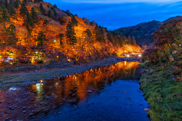 Korankei and Tomoe river in autumn season with light up festival, Nagoya, Japan.