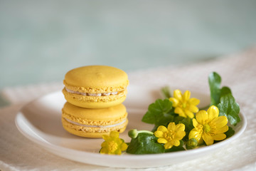 Fototapeta na wymiar Macarons on white porcelain plate with nice yellow flower on blue wooden table