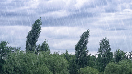 heavy rain shower in summer