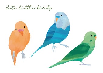 可愛い小鳥のセット