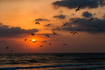 Obraz na płótnie Canvas Sunset summer sun on the sea coast