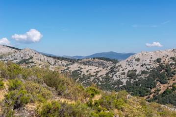 Fototapeta na wymiar Natural Park of Fuentes Carrionas and Fuente Cobre, Palencia province, Spain